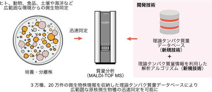 概要図