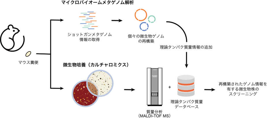 図2