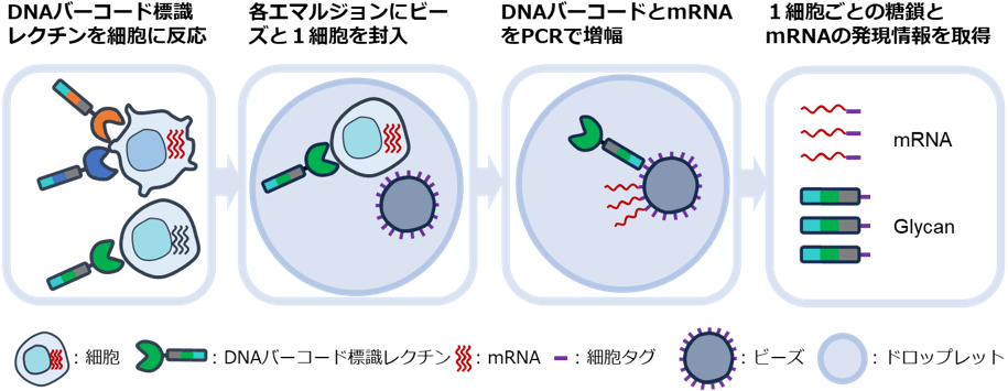 図1