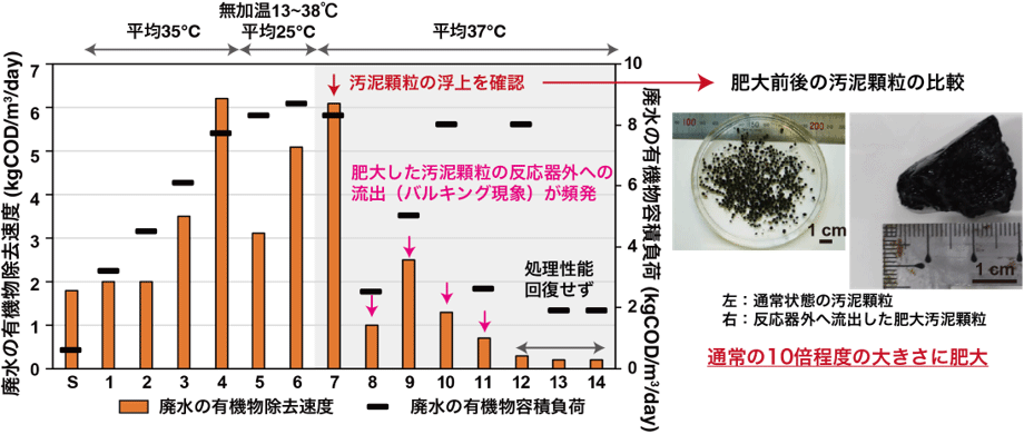 図1