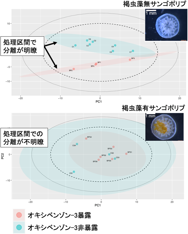 図3