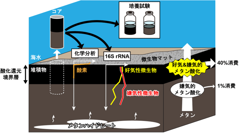 概要図