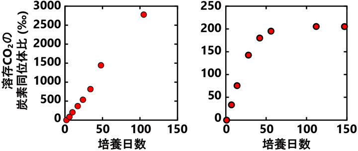 図1