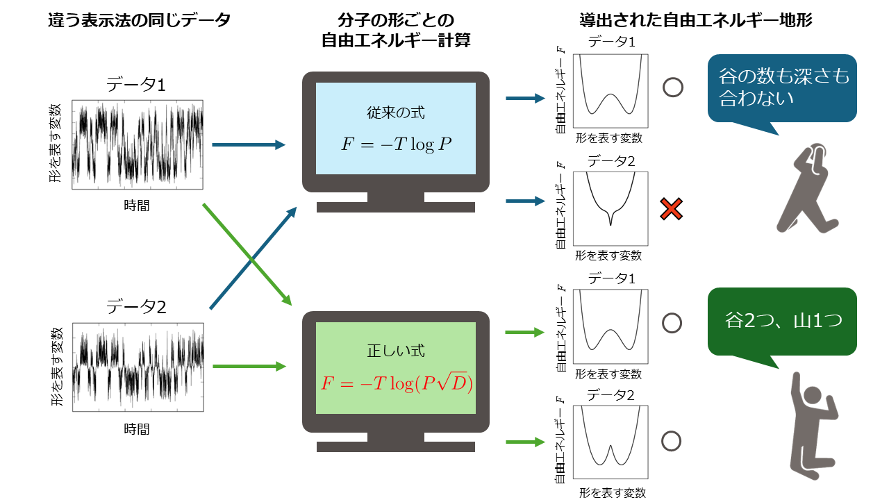 新しい公式で描く正しい自由エネルギー地形～タンパク質・触媒など、分子のカタチごとの安定性・反応性を正しく評価～