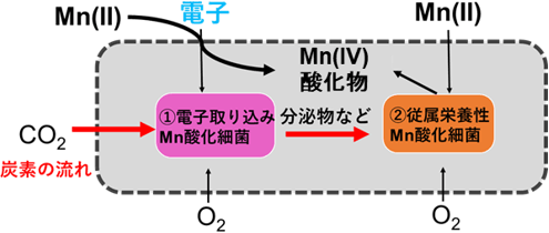 図3