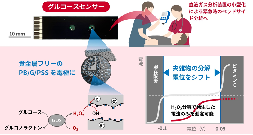 血糖値測定用の電極を開発～血液ガス分析装置の小型化に貢献する貴金属フリーかつ夾雑物除去機構フリーのグルコースセンサー～