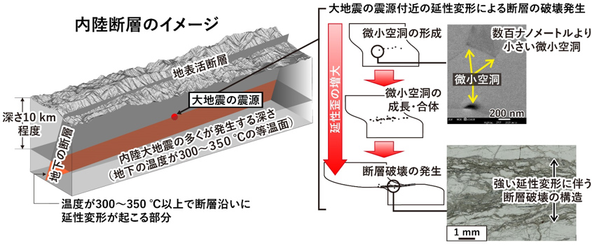 大地震の震源付近における断層の破壊のはじまり～岩石の延性変形が地下の断層破壊を招く事例を解明～
