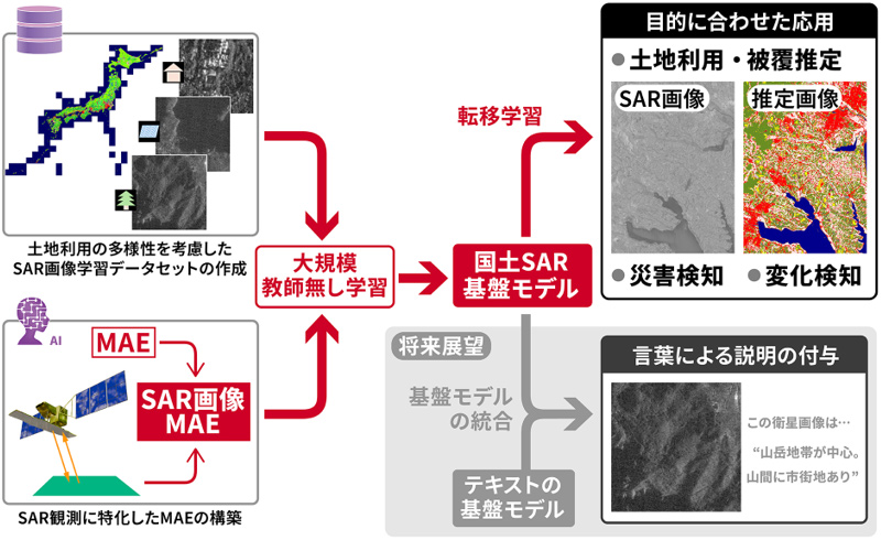 人工衛星「だいち2号」の観測データを活用して国土に特化したSAR基盤モデルを構築～SAR観測データへのAI利用をより手軽に～