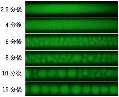 図1
