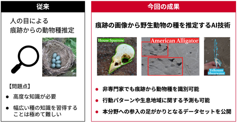 野生動物の多様な“痕跡”の画像から種の推定を可能にするAIモデルを開発～専門知識がなくても非侵襲的に動物の種を識別できる新たなアニマルトラッキングAIモデル～