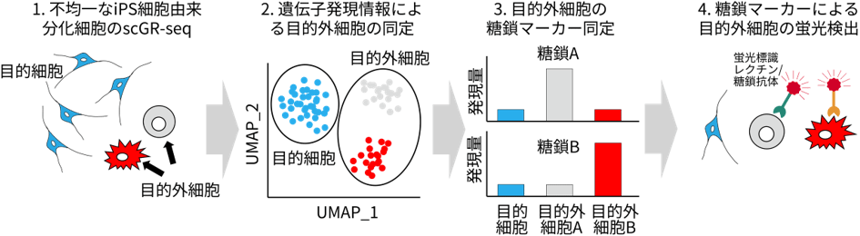 図1