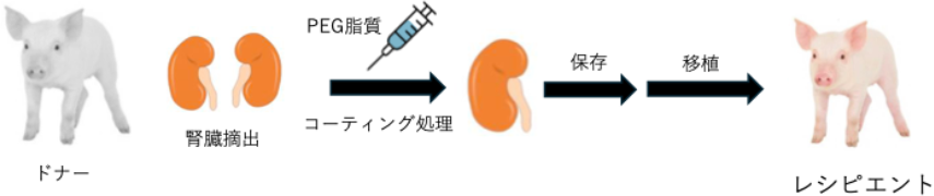 図1