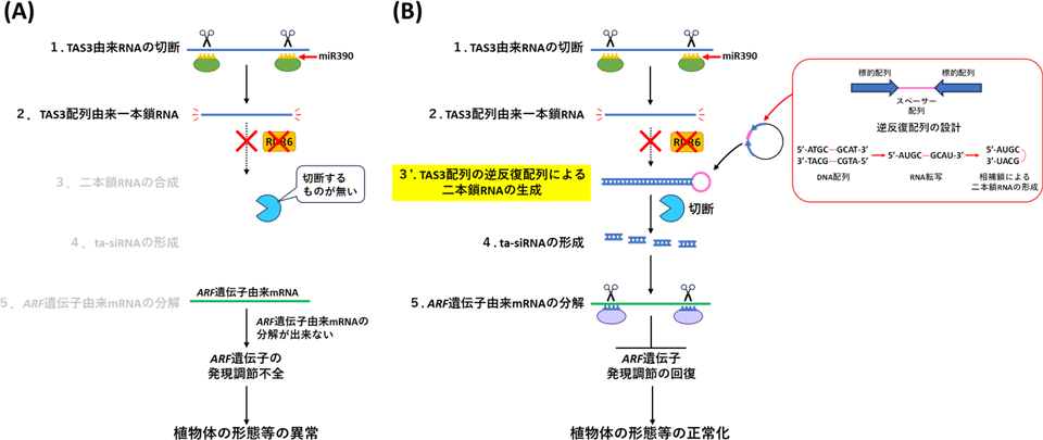 図2