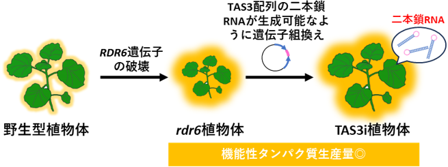 図3