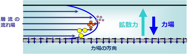 流動場分離法説明図