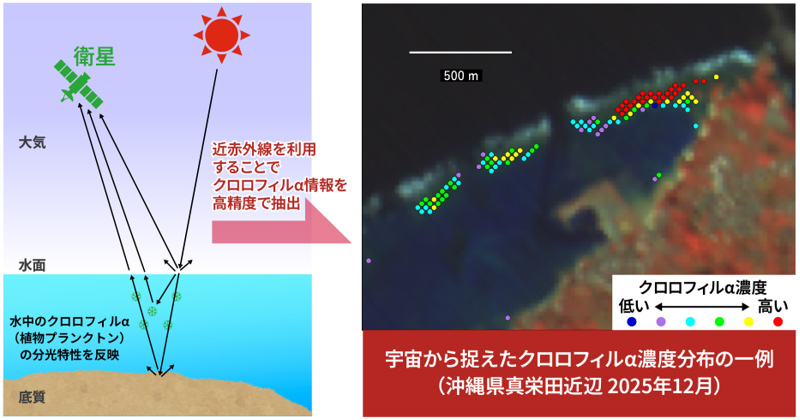 宇宙から浅い海の環境を読み解く：ハイパースペクトルが明らかにした「クロロフィル&alpha;のサイン」 －宇宙&times;生物多様性の異分野連携で実現した、沿岸域を衛星から見守る新しい環境モニタリング技術－