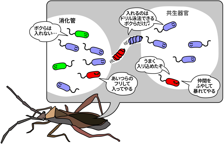 概要図