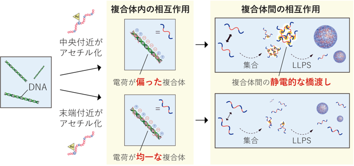 図4