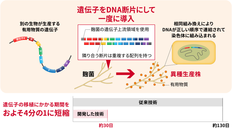 概要図