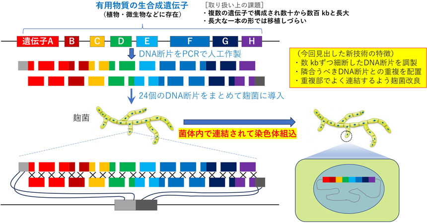 図1