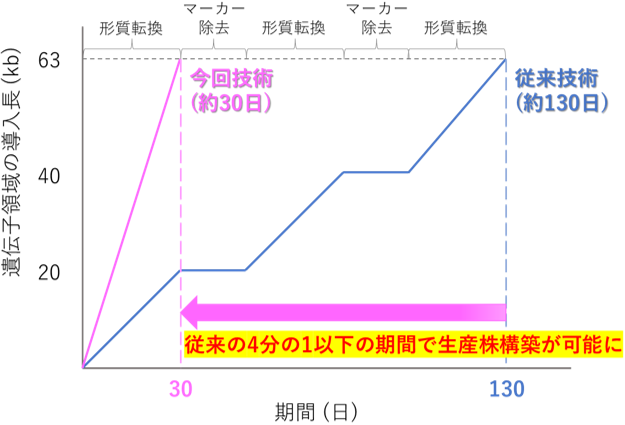 図2