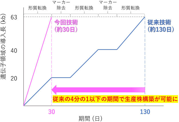 図2