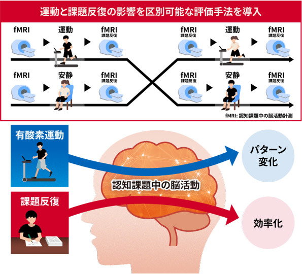 概要図