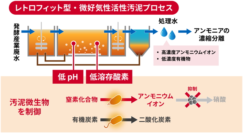 概要図