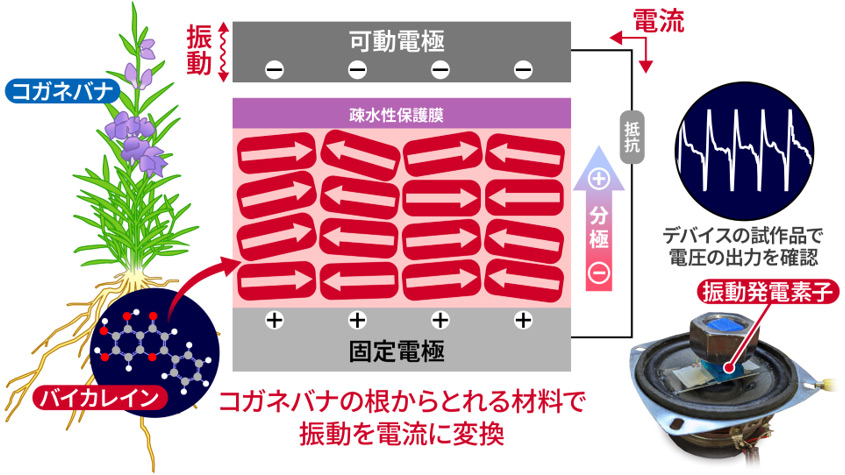 概要図