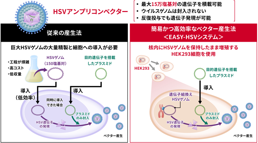 概要図