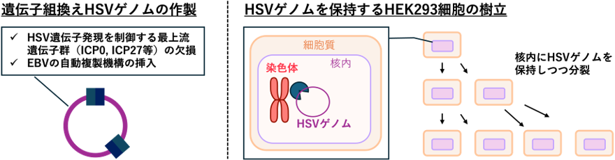 図1
