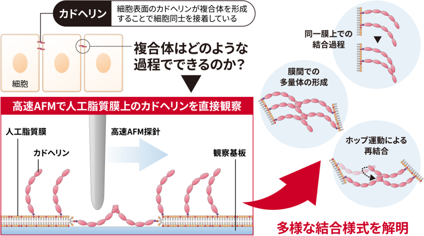 概要図