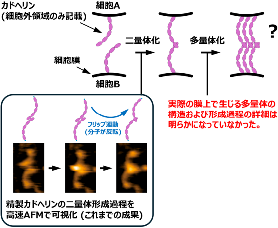 図1