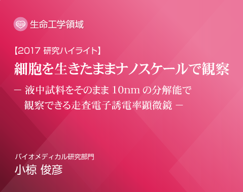 2017研究ハイライト 液中試料をそのまま10nmの分解能で観察する新規技術の開発