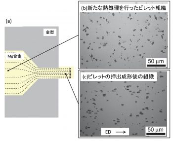 図下に図のキャプションを表示