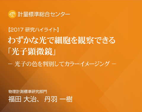 2017研究ハイライト わずかな光で細胞を観察できる「光子顕微鏡」