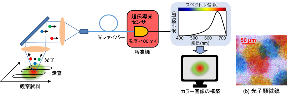 図下に図のキャプションを表示