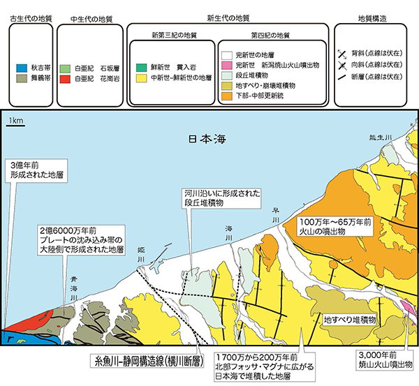 図下に写真のキャプションを表示