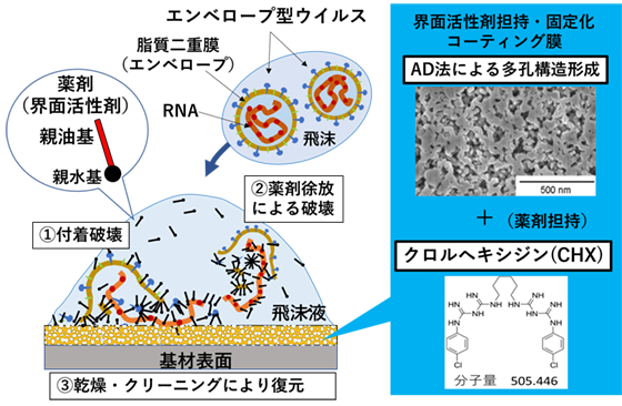 2つのメカニズムで機能する抗ウイルスコーティングのイメージ図