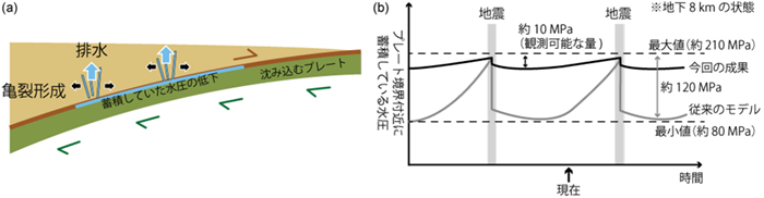 巨大地震発生後の亀裂形成による排水の模式図