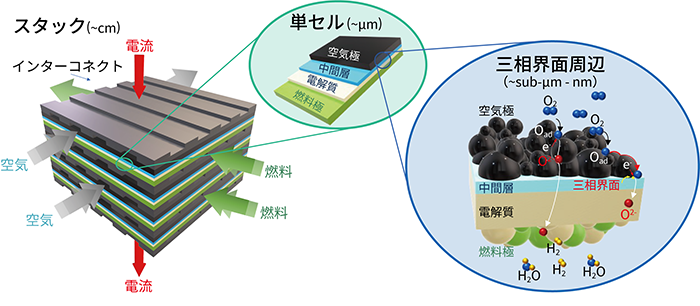 固体酸化物形燃料電池（SOFC）のセルスタックと単セルのしくみを表した図