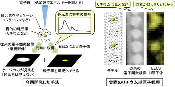 開発した手法の概要と観察結果