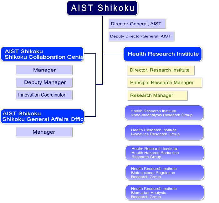 Organization Chart