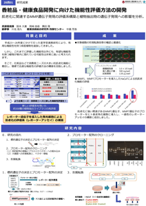 高知4