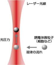光圧カソーティングの原理