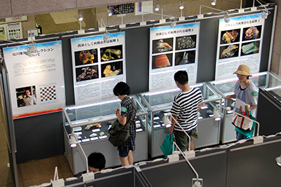 特別展示 T2「魅惑の鉱物　－北川隆司鉱物コレクションと青柳・今吉鉱物標本－」の写真2