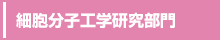 細胞分子工学研究部門へのリンク