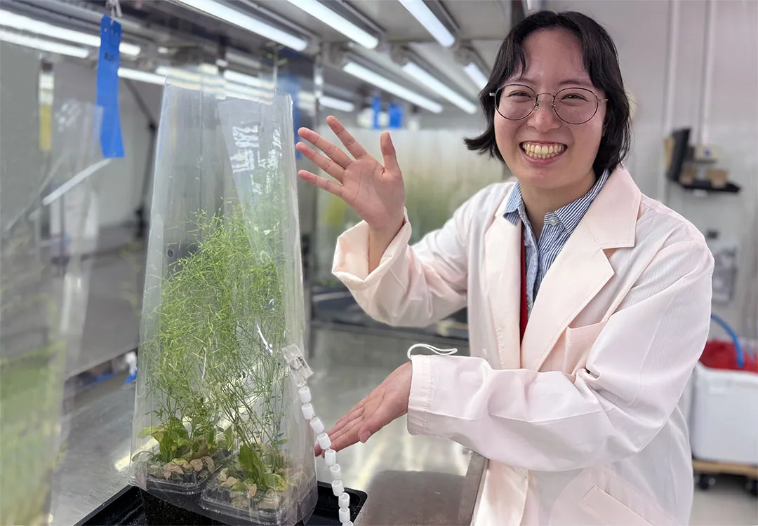 ゲノム編集植物を愛でるツアーのイメージ画像