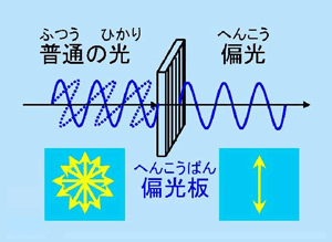 偏光で遊ぼう（偏光万華鏡？）　～色のついていないものだけで作る万華鏡？？～