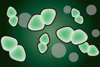 乳酸菌のイメージ図